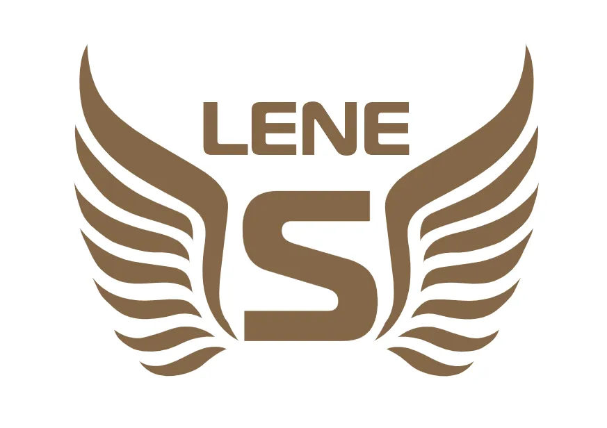 LS Logo