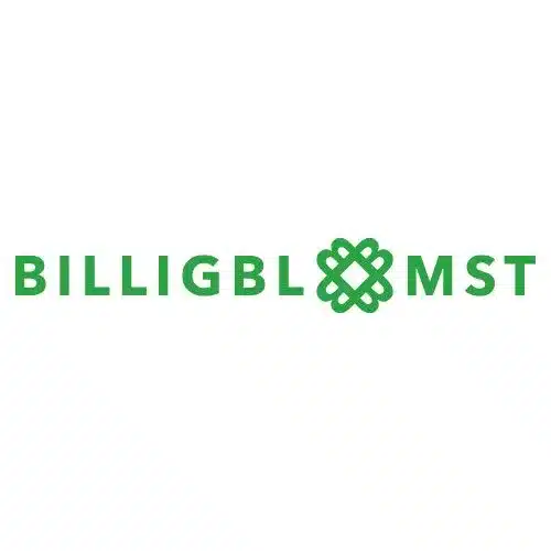BilligBlomst logo