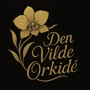 Den Vilde Orkidé